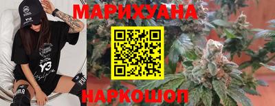 сатива Камышлов