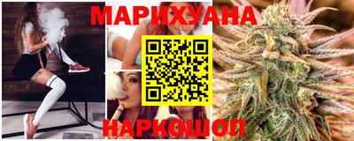 сатива Камышлов
