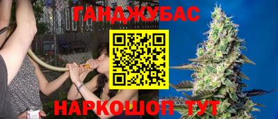 сатива Камышлов