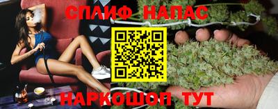 сатива Камышлов